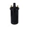 Aftermarket 12V Ignition Coil Fits Ford 2110LCG 230A 231 234 2600 2610 334 335 340 ELI80-0008 - alternate 1